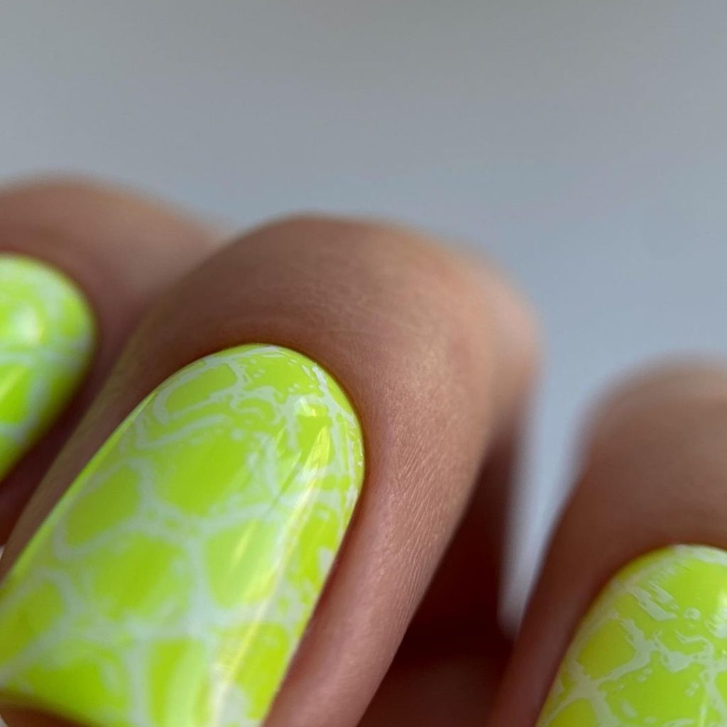 academia de manicura